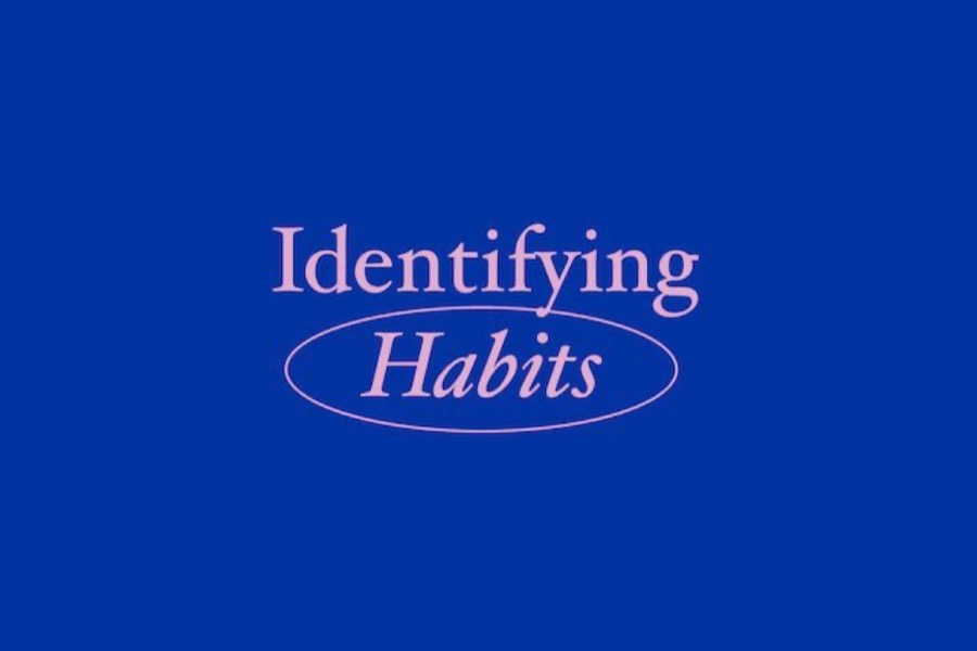 Identifying Habits worksheet preview